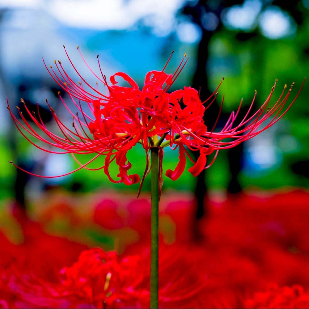 Meet your Posher, Natalia